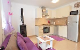 Apartment Hrasta